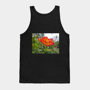 Red and yellow rose Tank Top